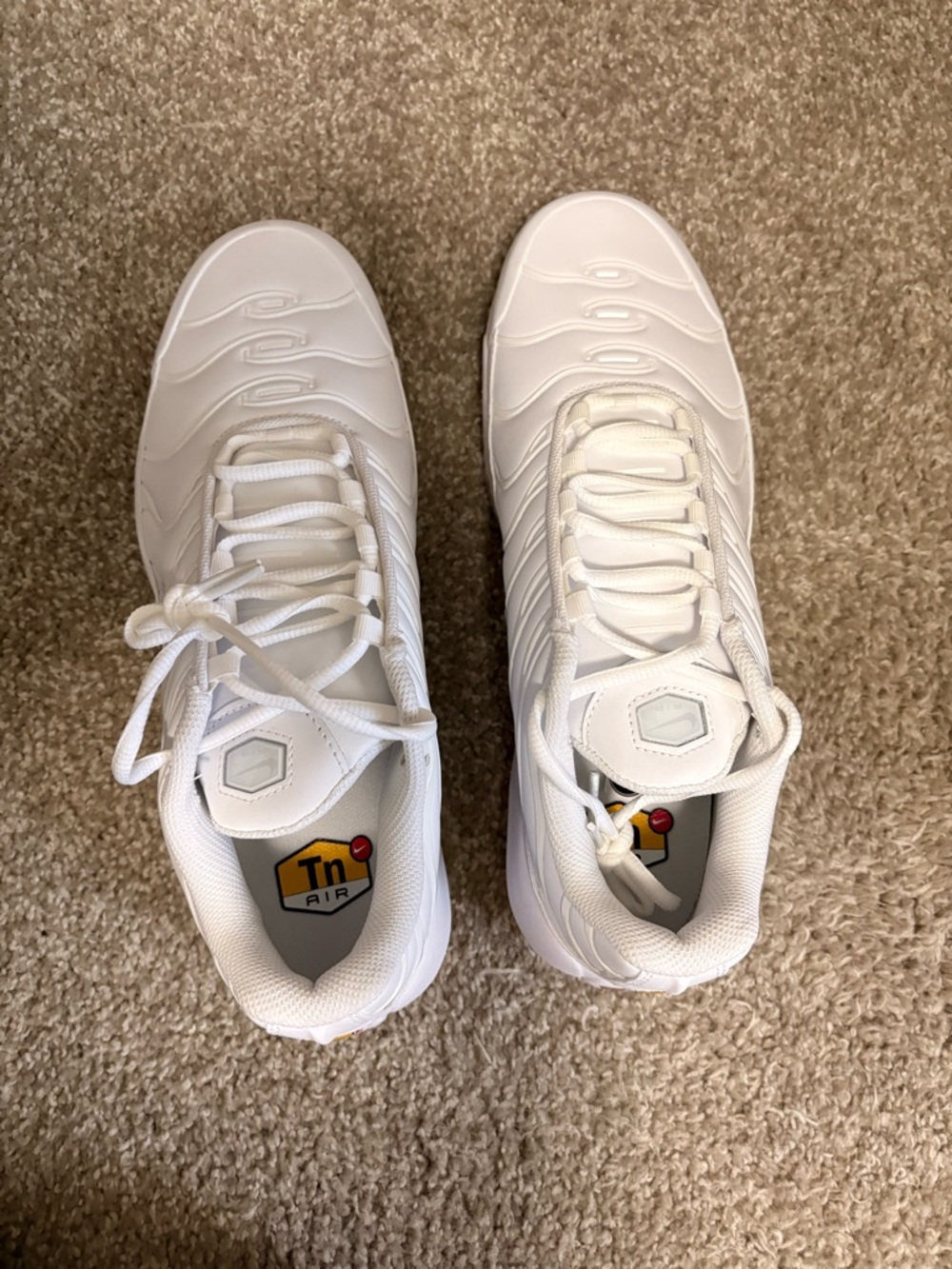 Nike Air Max Plus